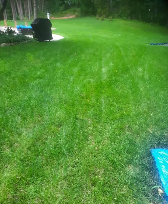 Lawn Mowing