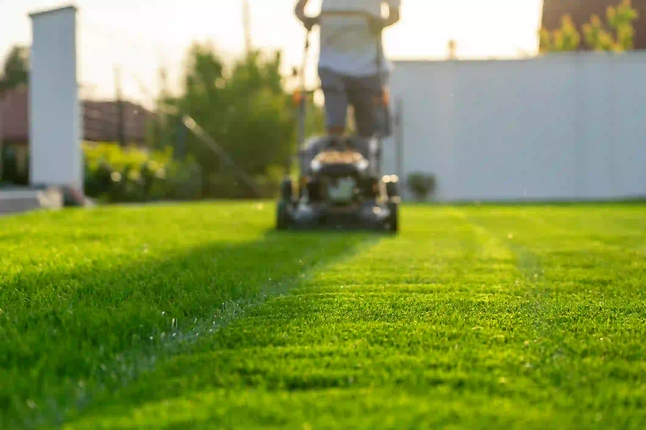Creating Safe Walkways with Consistent Lawn Mowing in Midland, MI