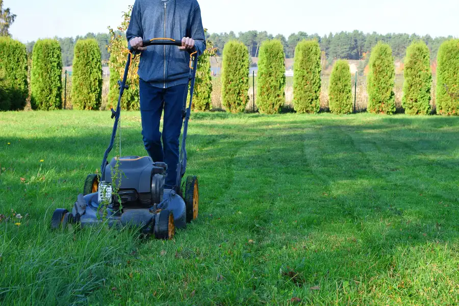 Essential Lawn Mowing Techniques For An Even Finish Midland, MI