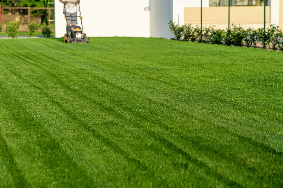 Essential Lawn Mowing Techniques For An Even Finish in Midland, MI