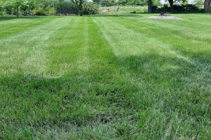 Residential Lawn Mowing