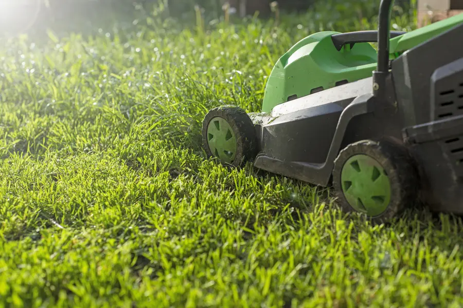 Seasonal Considerations For Effective Lawn Mowing in Midland, MI