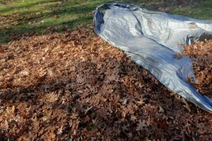 Spring and Fall Cleanup