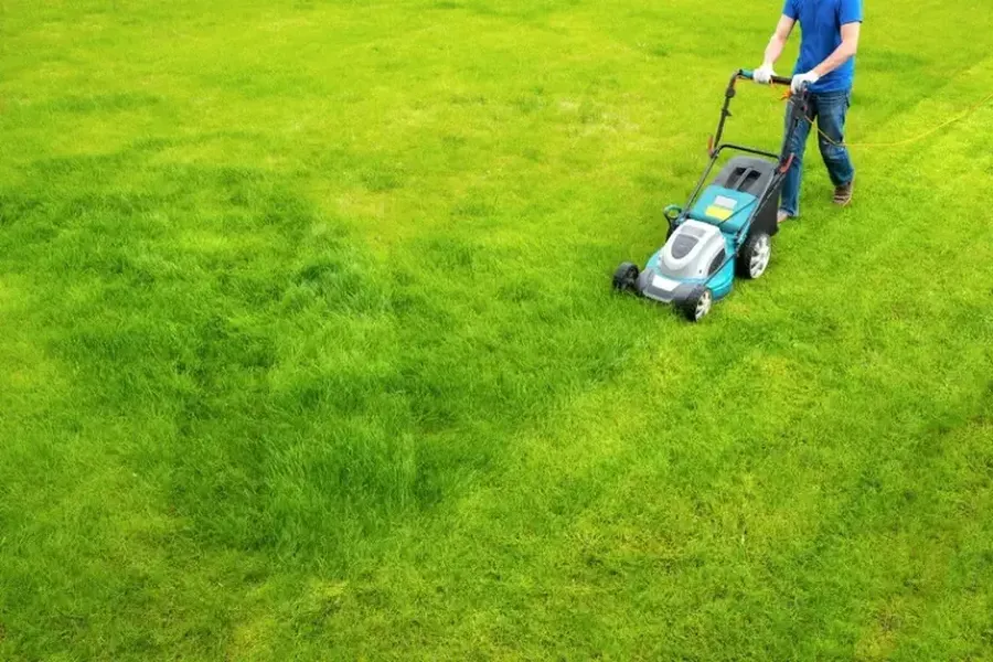 The Role Of Grass Cutting In Lawn Aesthetics in Midland, MI