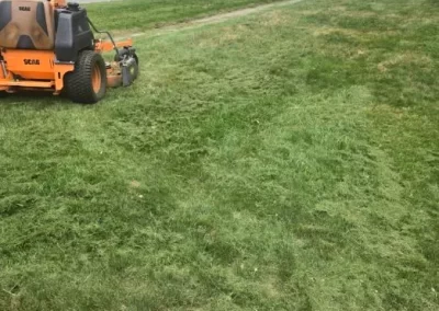 Local Lawn Mowing