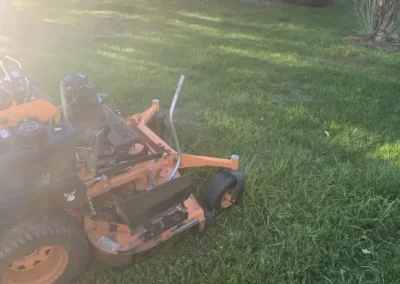 Professional Lawn Care